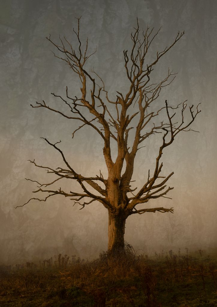 N.I. Photographic Association | Group Exhibition at Strule Arts Centre