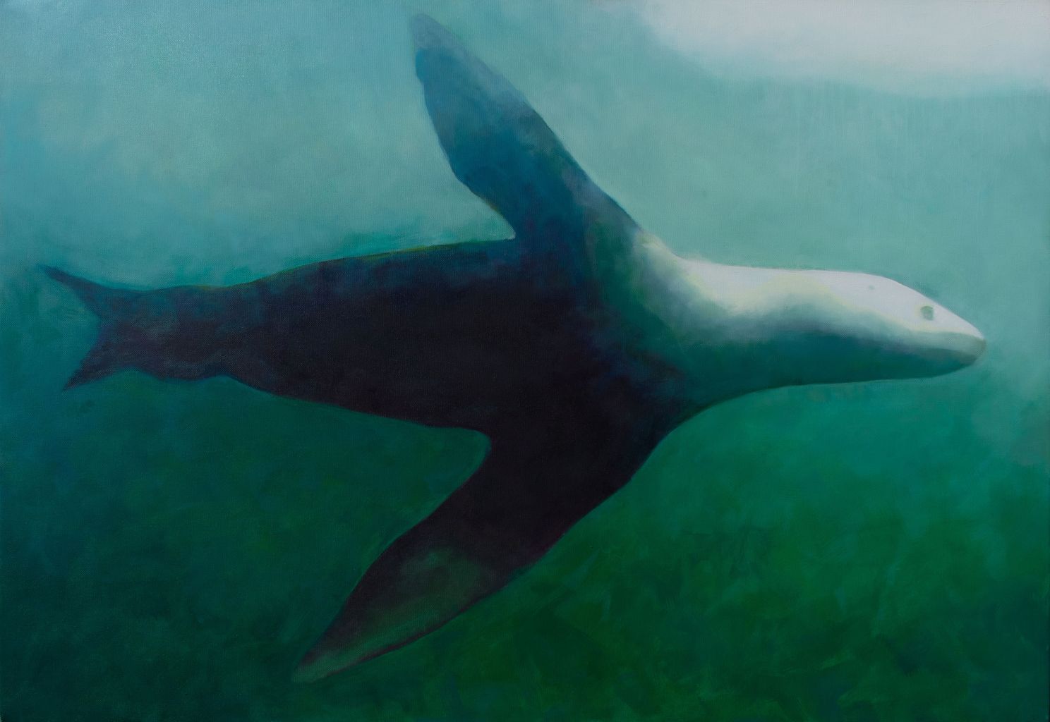 Drift Across | Gosia Kamieniecka and Anna Kacprzak at the Clare Museum