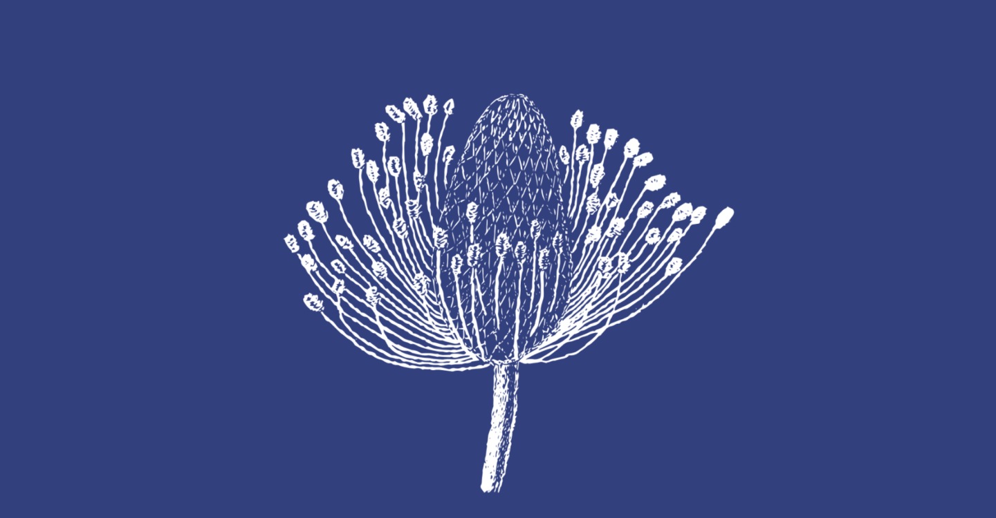 Event | Uisce Sionainn / Flora Liatromensis at The Dock