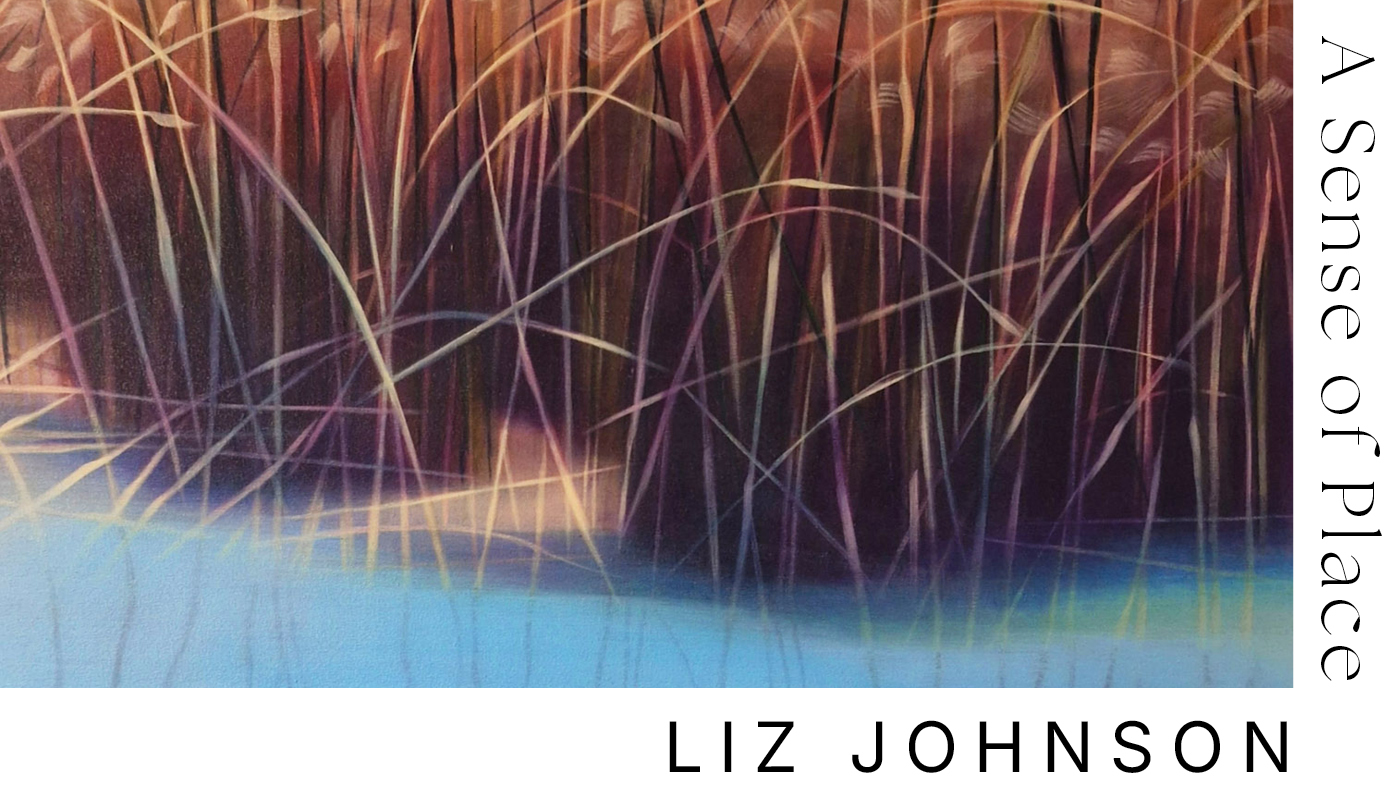 A Sense of Place | Liz Johnson at dlr Mill Theatre