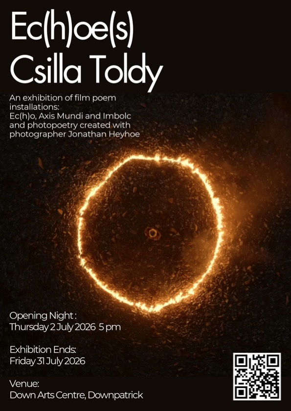Ec(h)oe(s) | Csilla Toldy at Down Arts Centre