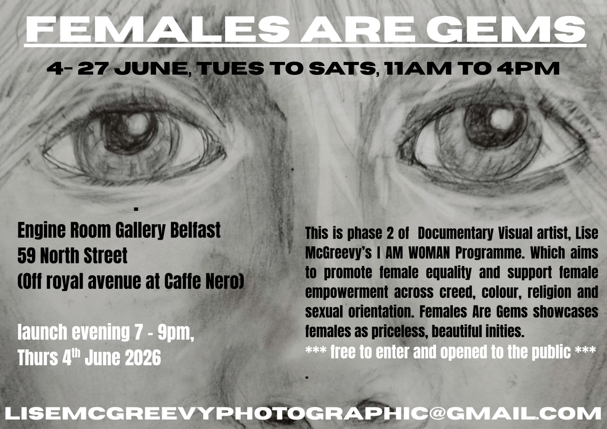 Females Are Gems | Lise McGreevy at The Engine Room Gallery