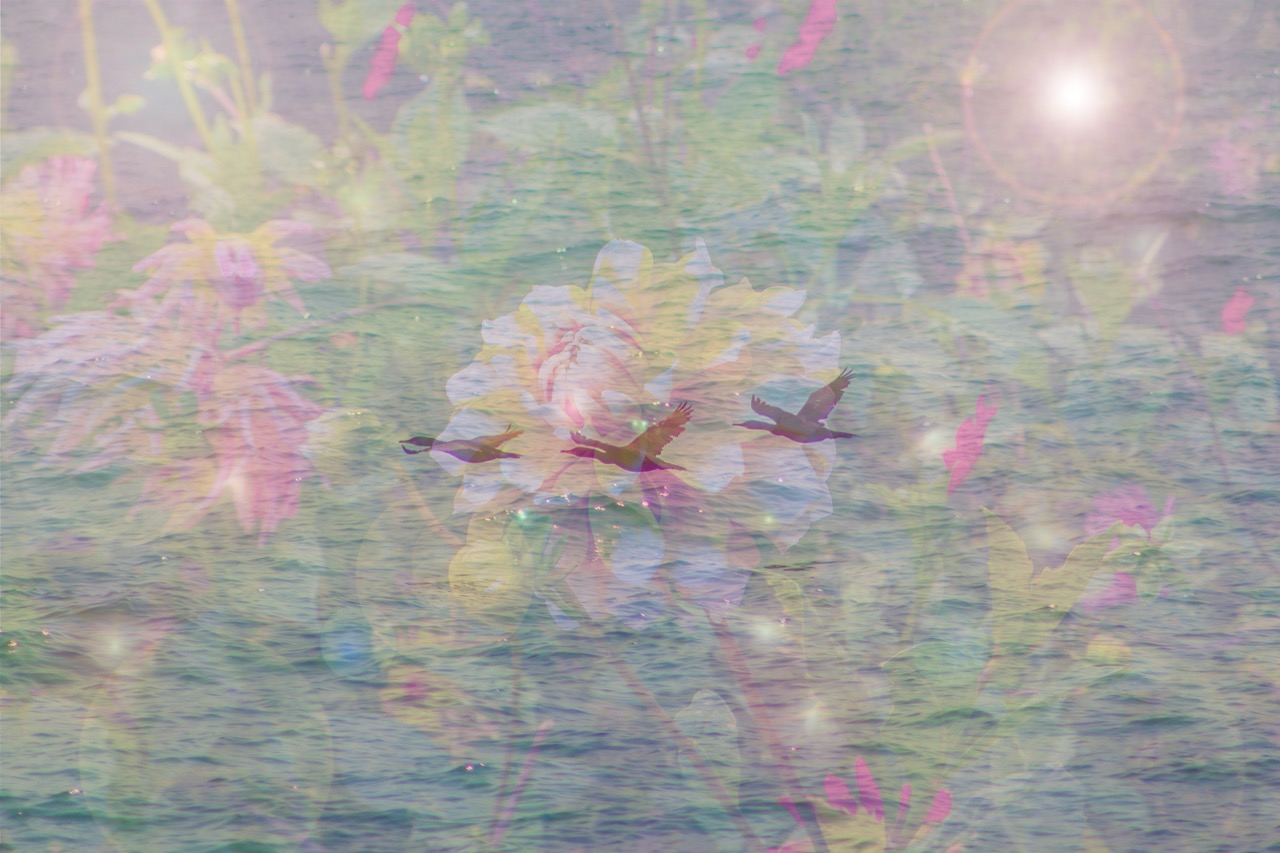 All My Dreams Take Place in Heaven | Jennifer Reynolds at Naas Library