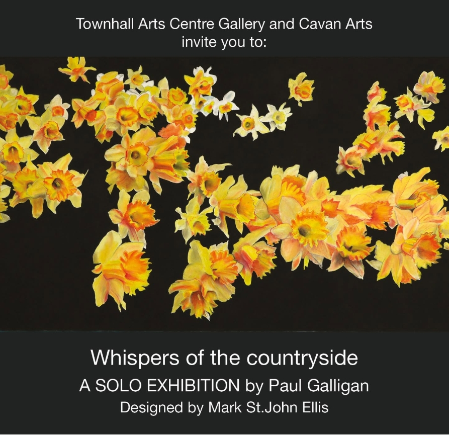 Whispers of the Countryside | Paul Galligan at Townhall Arts Centre Gallery