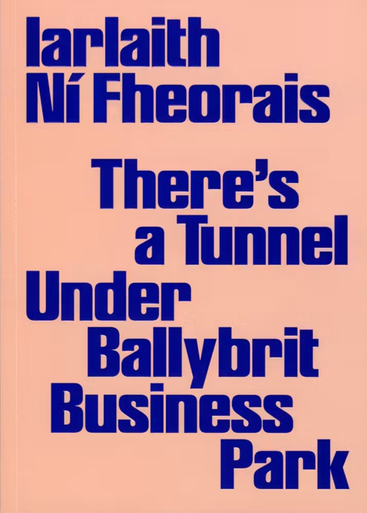 Event | Health and Infrastructure Discussion and Book Launch at Askeaton Library