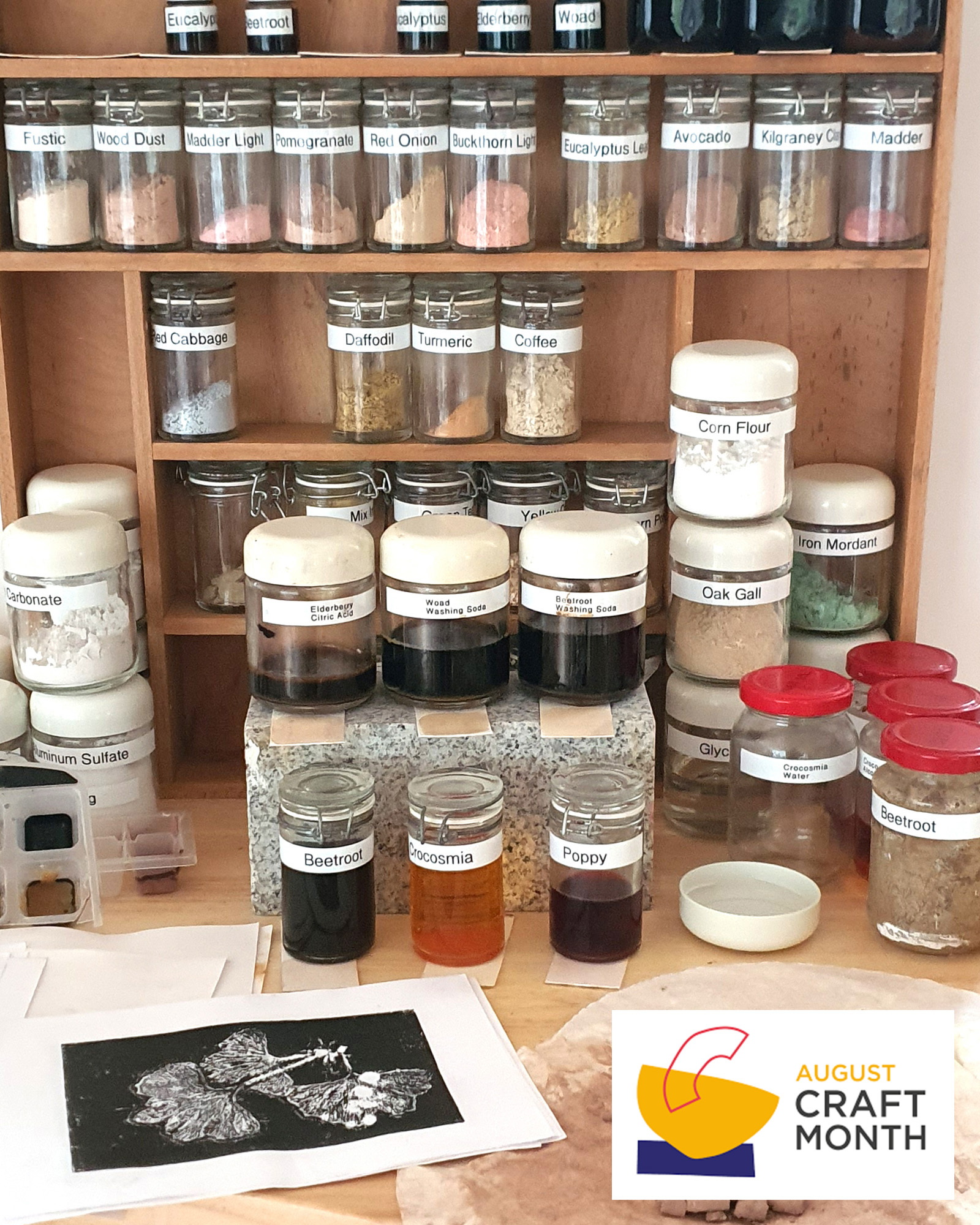 Workshop | Botanical Impressions – Workshop 1 Plant Inks, Pigments and Dyes with Martin Marley at Kilgraney House Gallery