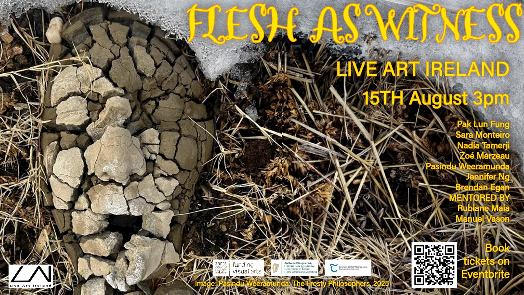Event | Flesh As Witness at Live Art Ireland