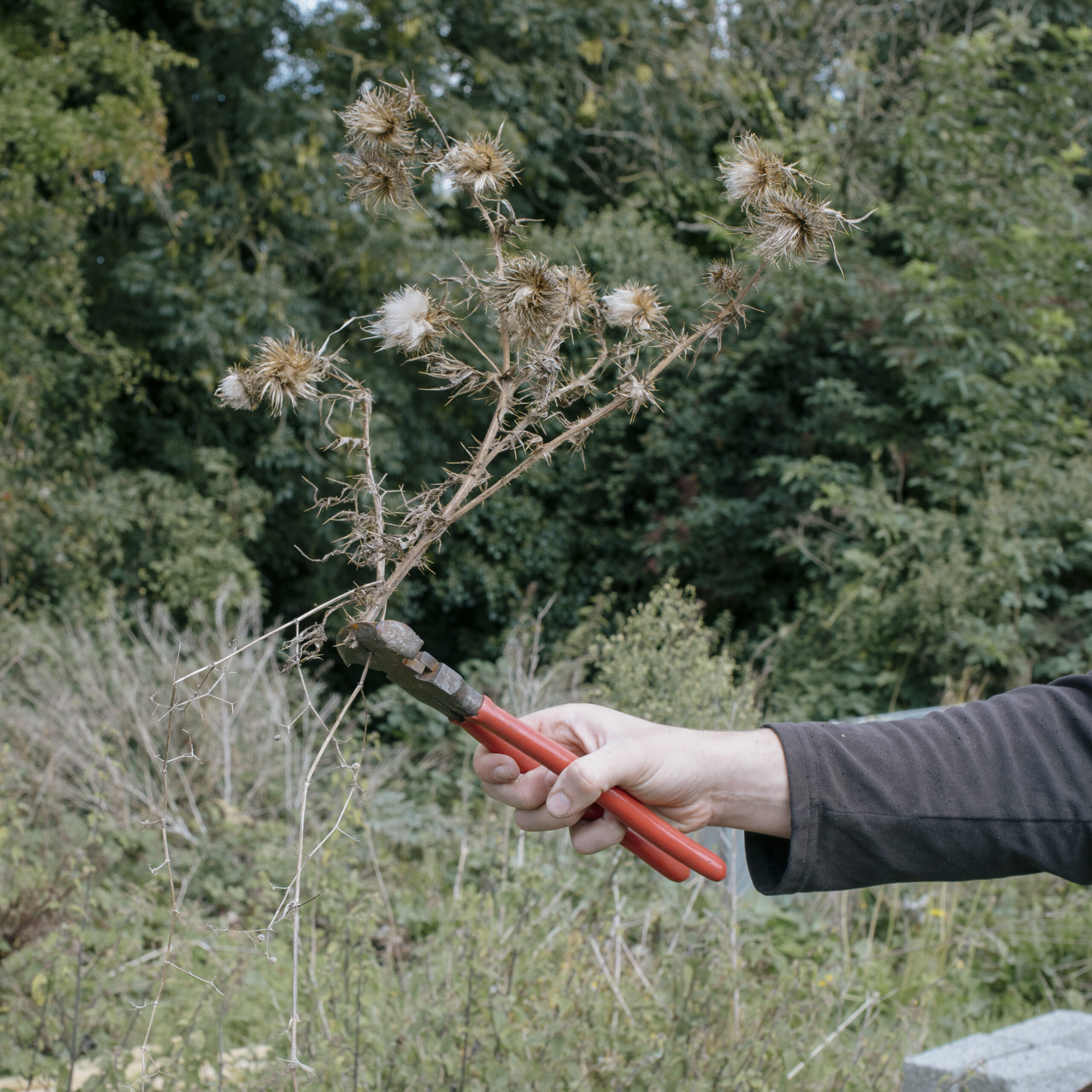 Open Call | Propagating Otherwise from Furze Arts