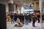 Open Call | Art as Alchemy Exhibition from the Wex-Art Festival