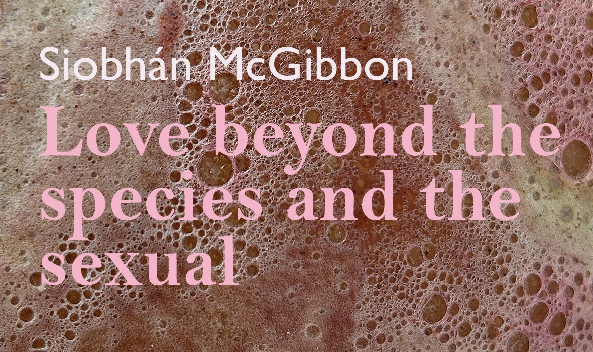 Love beyond the species and the sexual | Siobhán McGibbon at Uilinn: West Cork Arts Centre