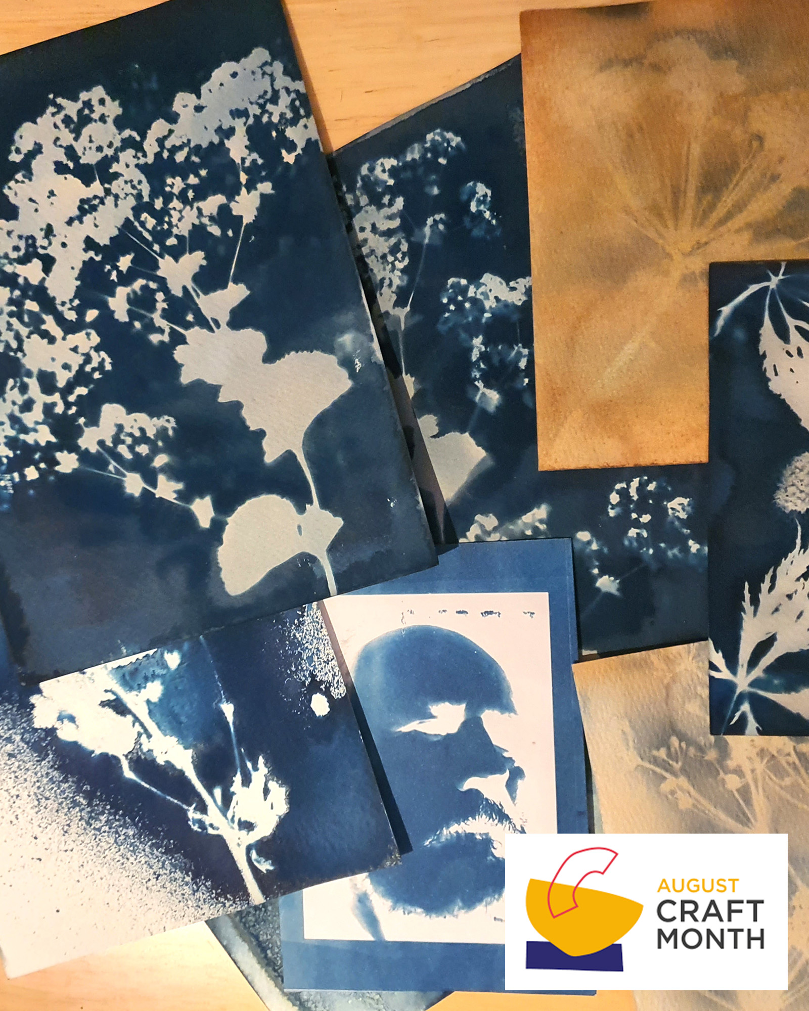 Workshop | Cyanotype and Anthotype Printing with Martin Marley at Kilgraney House Gallery