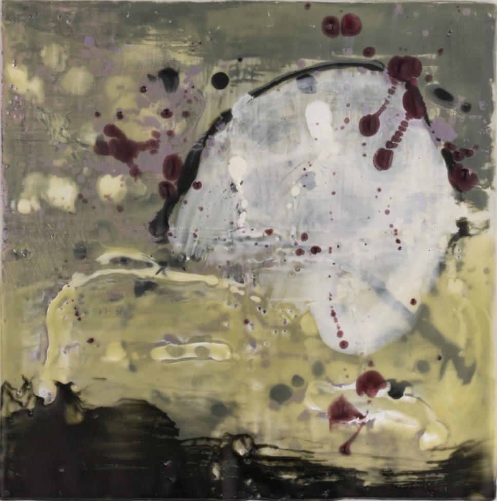 Into the Aphotic - an underworld | Suzanne Carroll at Droichead Arts Centre