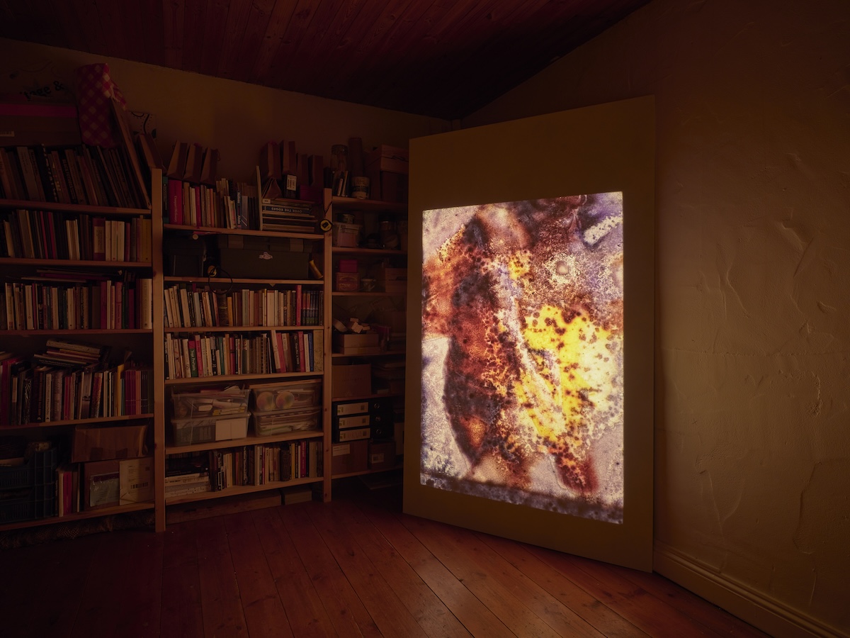 Events | Buried with the Machine Programme at Courthouse Arts Centre