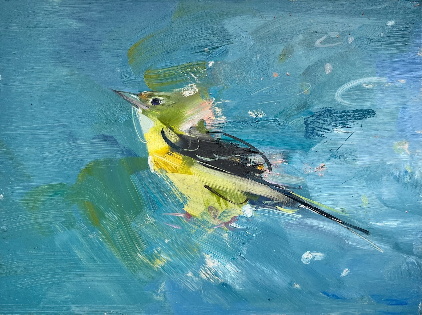 New Irish Art | Group Exhibition at the Lavit Gallery