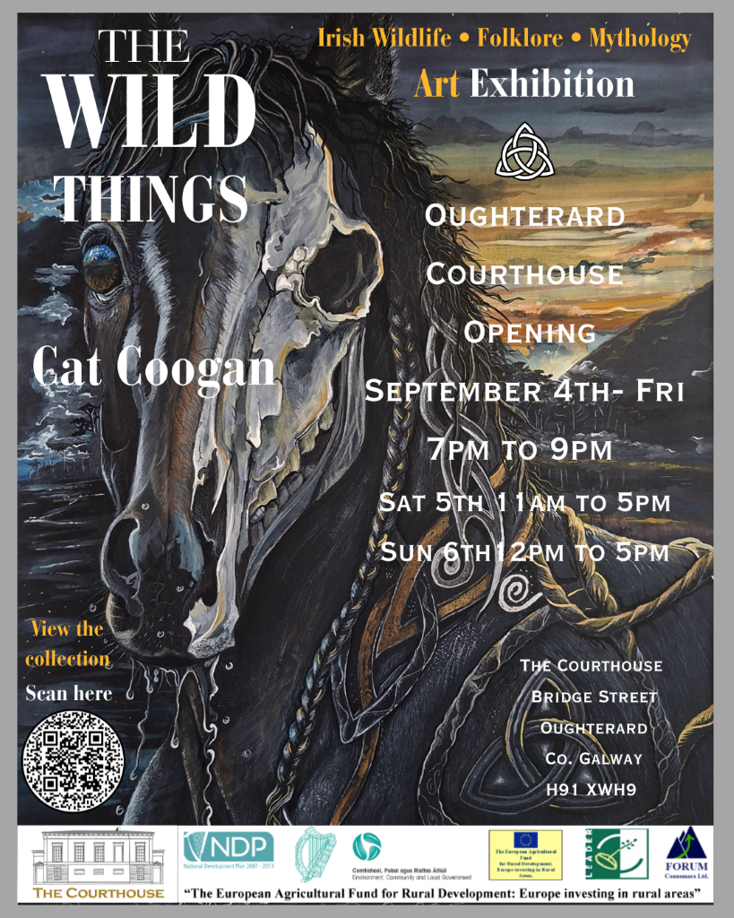 The Wild Things | Catriona Coogan at Oughterard Courthouse