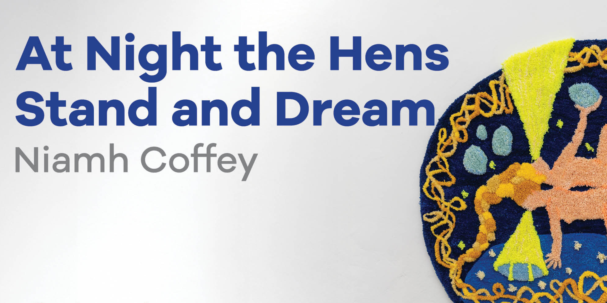 At Night the Hens Stand and Dream | Niamh Coffey at GOMA Waterford