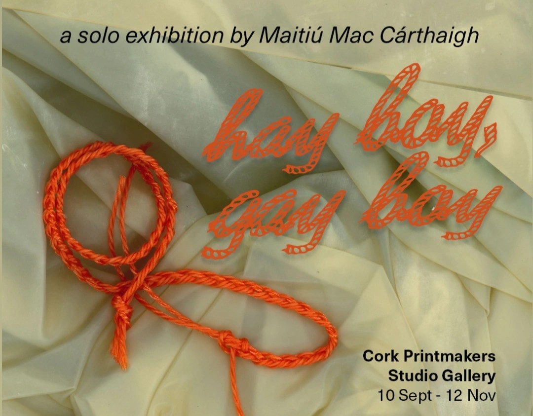 hay boy, gay boy | Maitiú Mac Cárthaigh at Cork Printmakers Studio Gallery