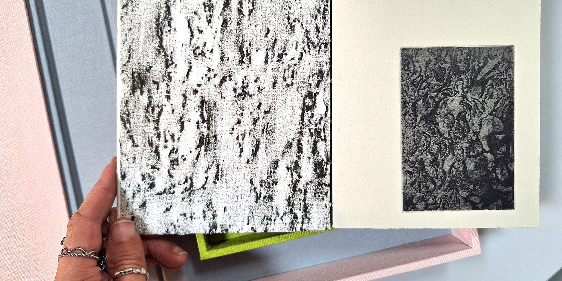 BIND- bear witness | Elize de Beer at Cork Printmakers Studio Gallery