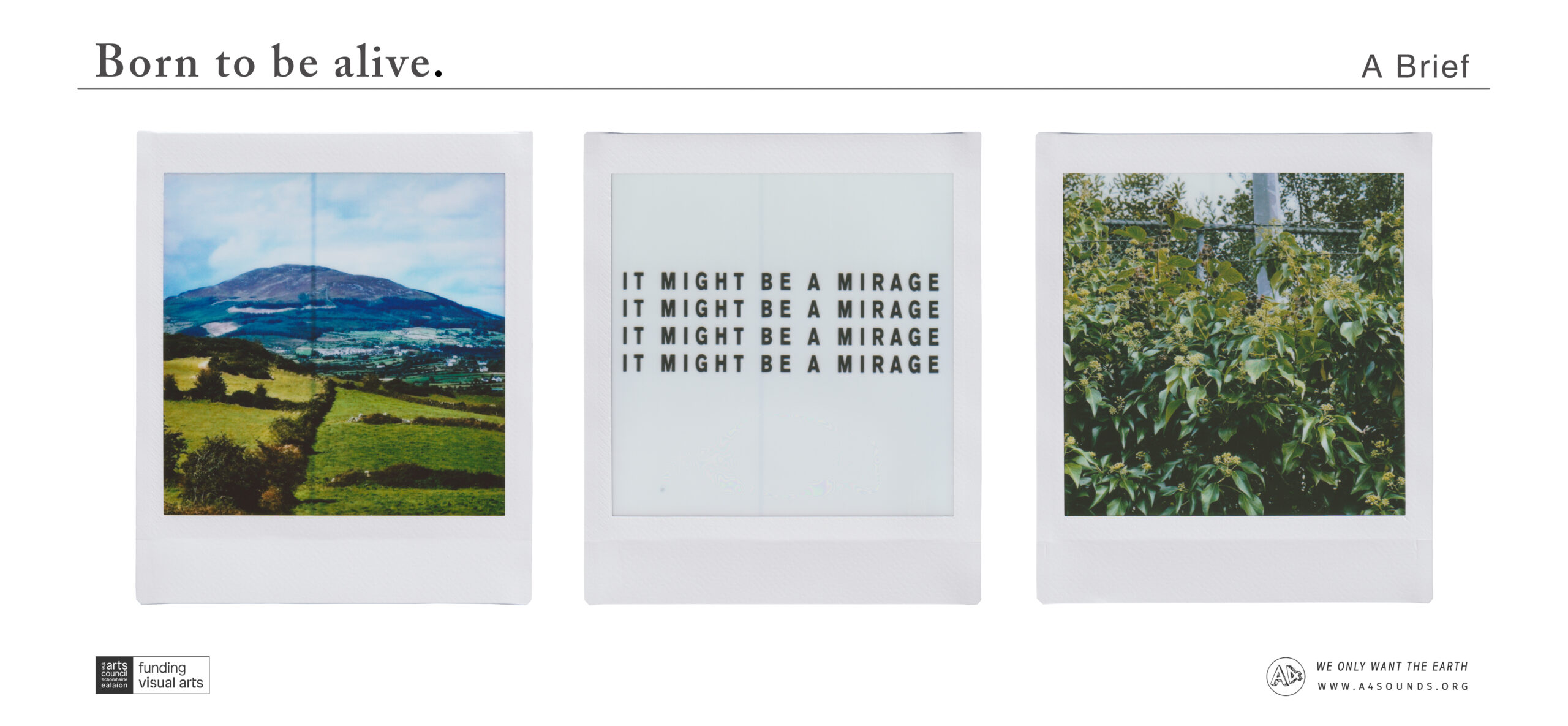 Open Call | Born to be alive Group Exhibition for WOWTE 2026