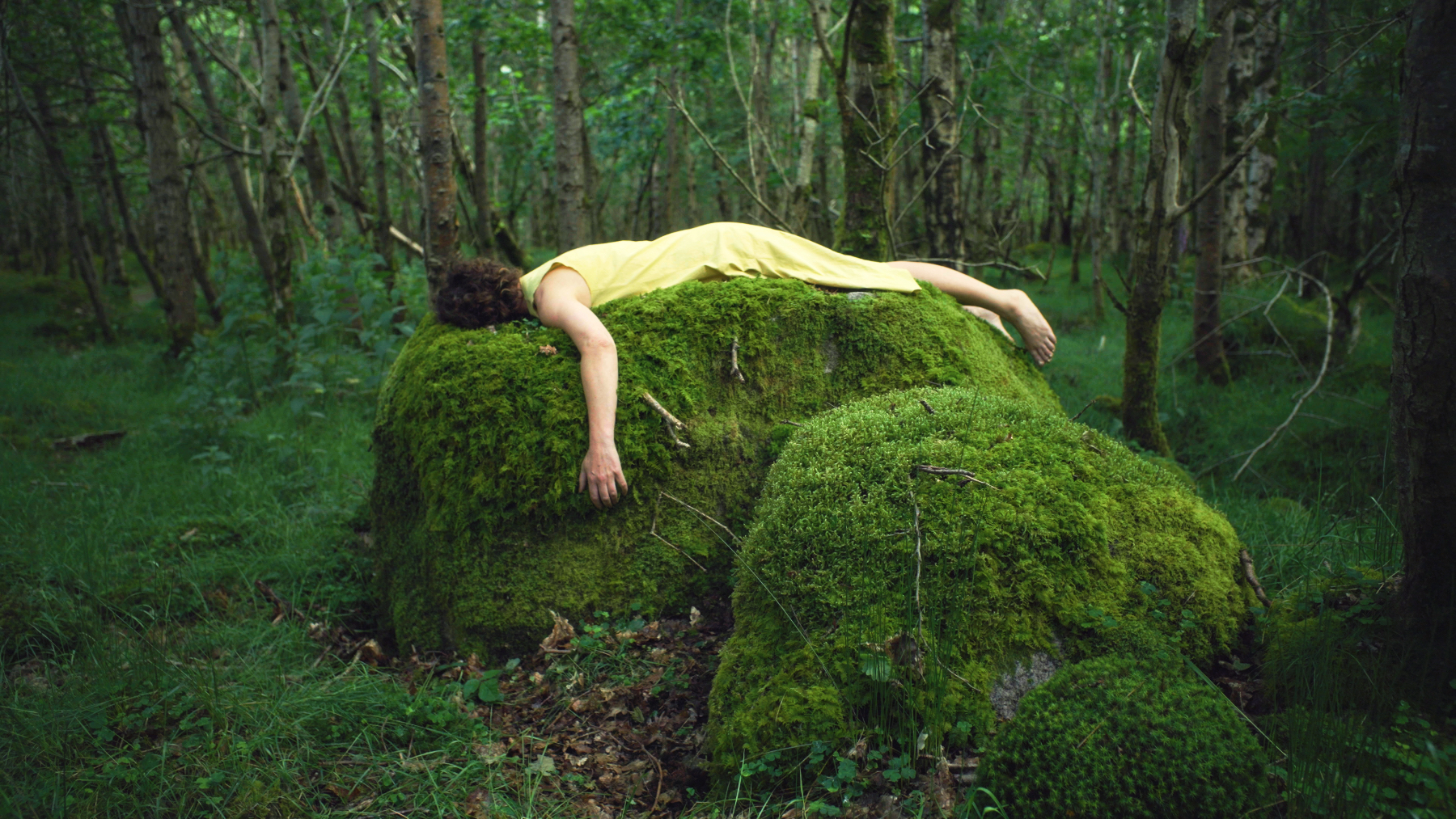 Event | The Future has an Ancient Heart- Film Screening and a Conversation for All with Joanna Kidney at Mermaid Arts Centre
