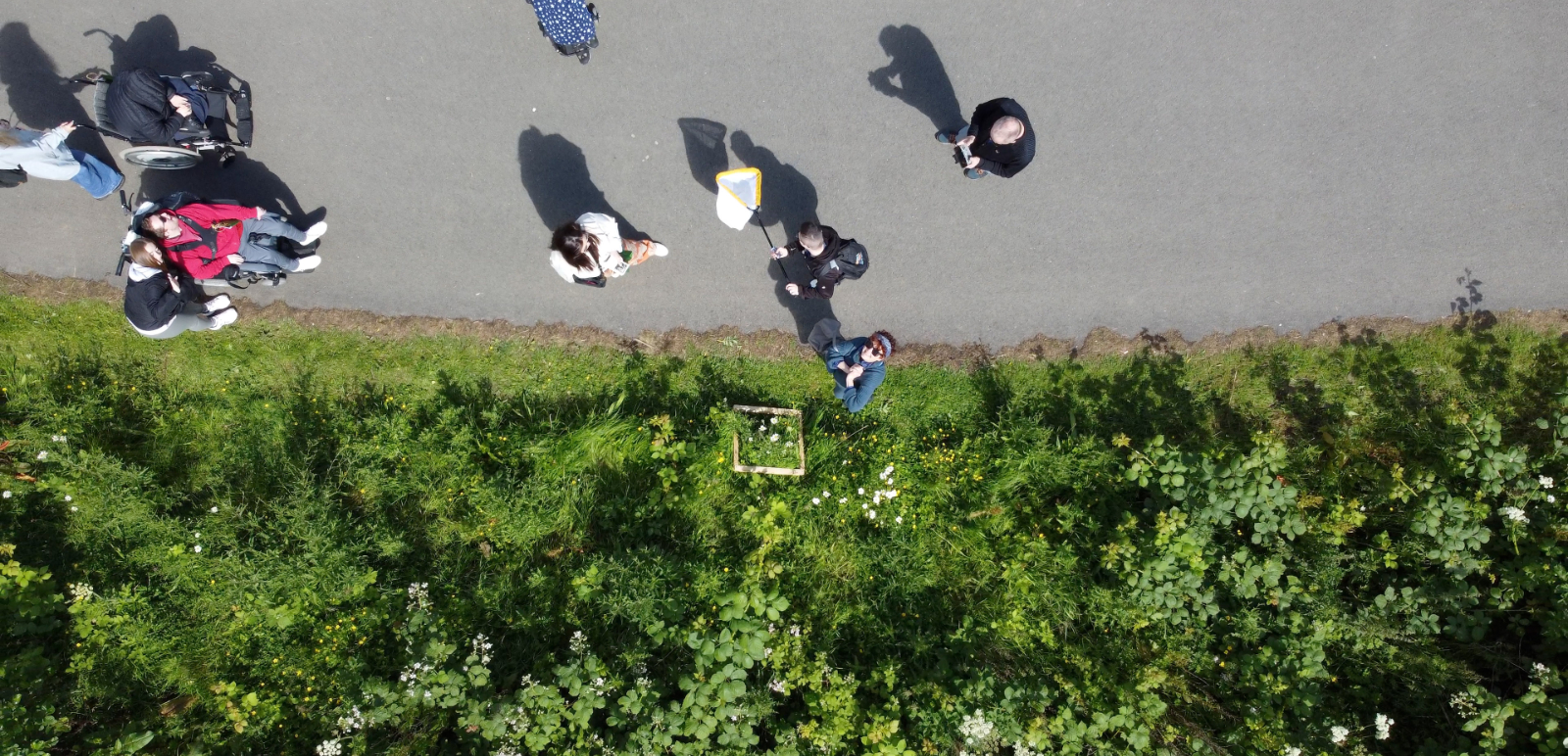 NATURE SQUARED | Anne Cleary and Denis Connolly at the County Library, Tallaght